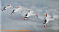1/48 F-16C Fighting Falcon `Thunderbirds´ (06165)