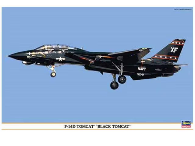 1/48 F-14D Tomcat `Black Tomcat´ (09867)