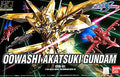 HG Gundam Seed Destiny ORB-01 Oowashi Akatsuki Gundam (0141910)