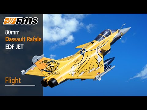 FMS 131P Rafale 80mm EDF PNP